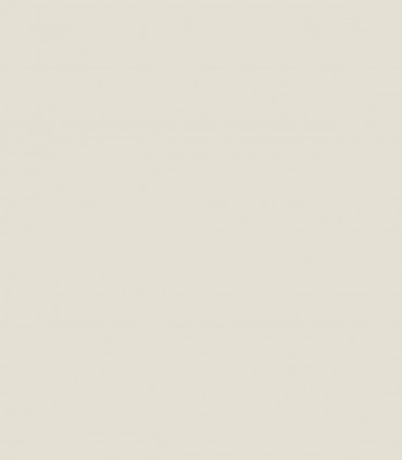 Gray Mist OC-30 - Wallcolors - Ekskluzywne Tapety