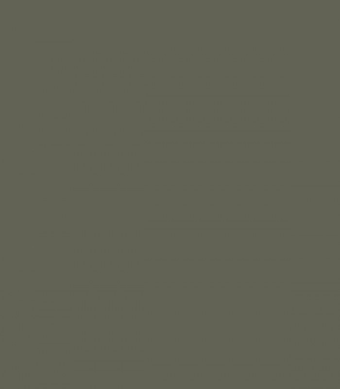 Dark Olive 2140-30 - Wallcolors - Ekskluzywne Tapety