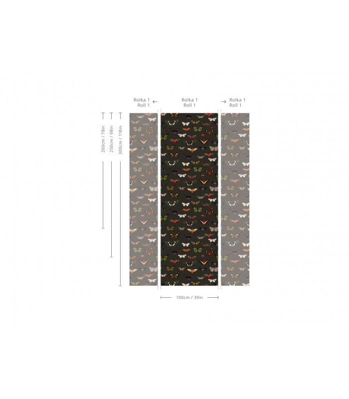 Colorful Butterfly Green tapete - Wallcolors  - Exklusive Hintergrundbilder